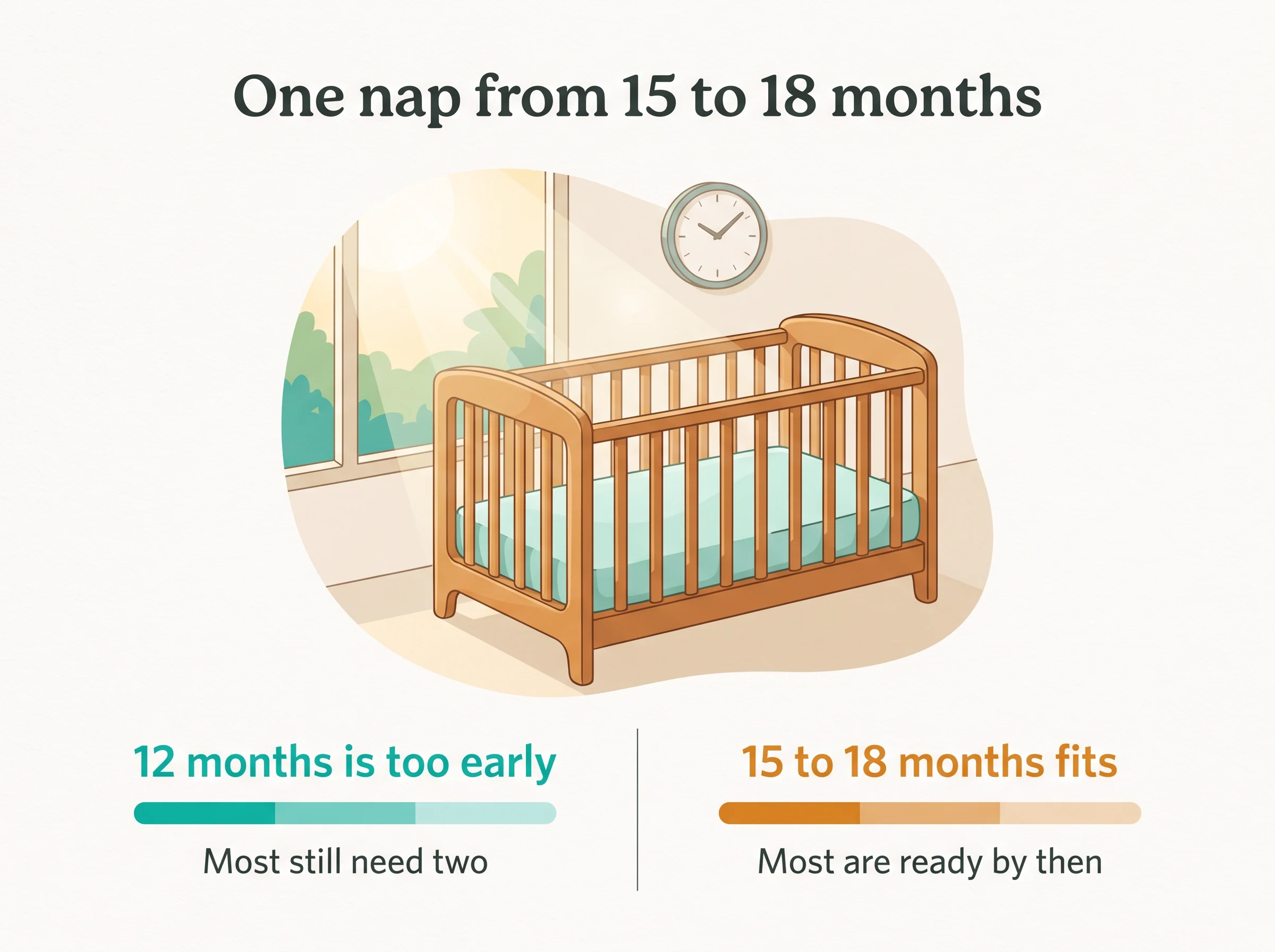 When to drop to one nap - at 12 months most babies still need two, and by 15 to 18 months most are ready