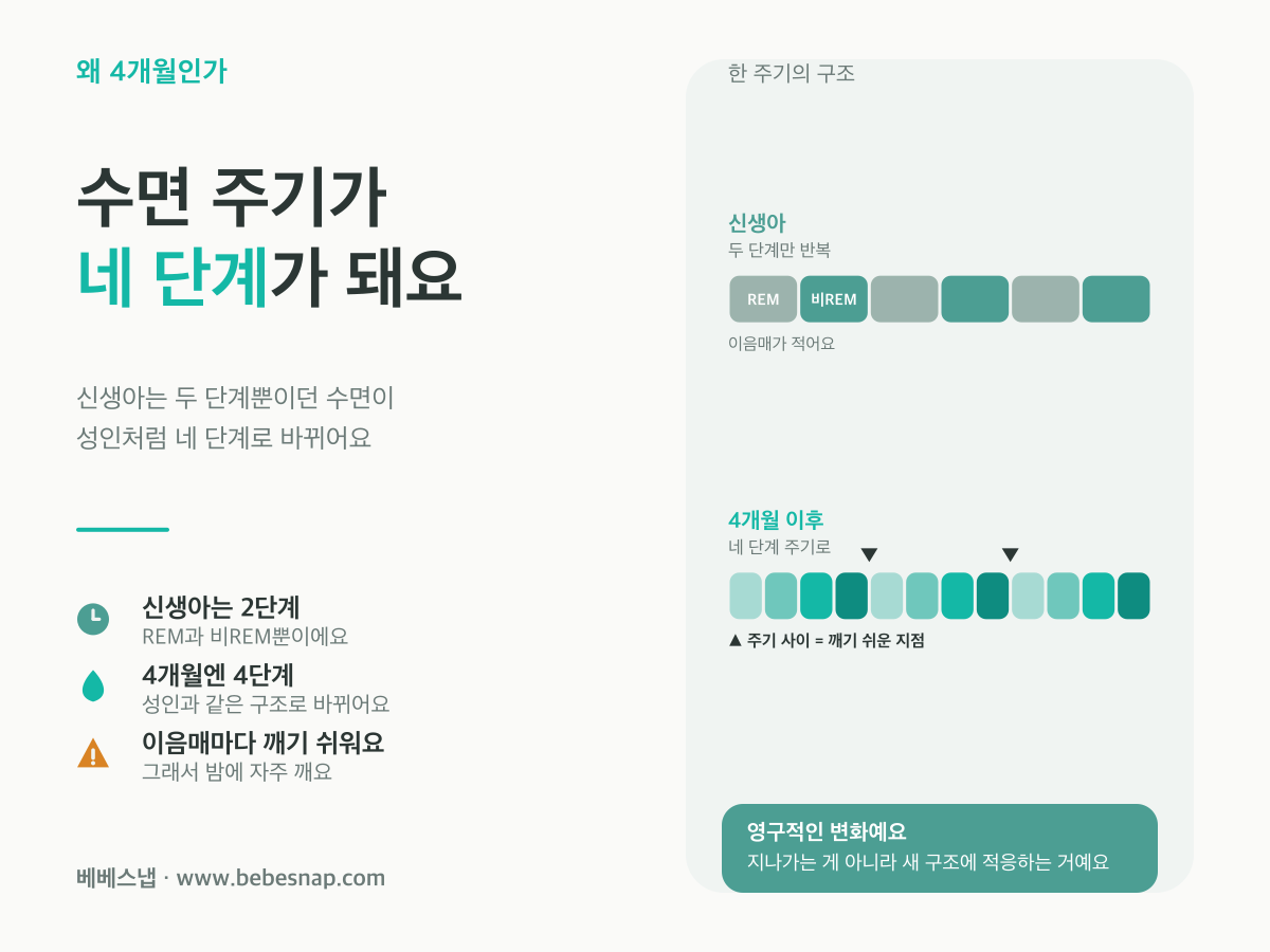 4개월 수면 주기 변화 - 신생아 2단계에서 4개월 4단계로 바뀌며 주기 이음매마다 깨기 쉬워지는 구조 비교도