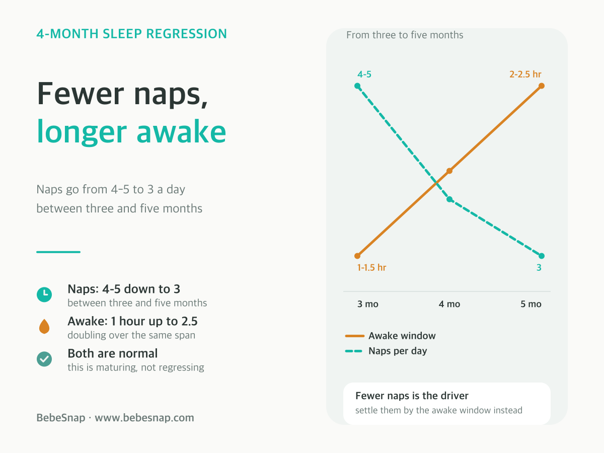 Naps from three to five months - naps fall from 4-5 to 3 a day while the awake window grows from 1 to 2.5 hours