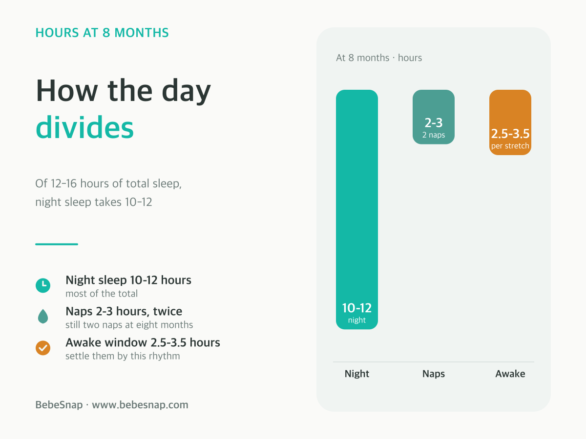 Hours at eight months - 10-12 hours of night sleep, 2-3 hours of naps across two, and a 2.5-3.5 hour awake window
