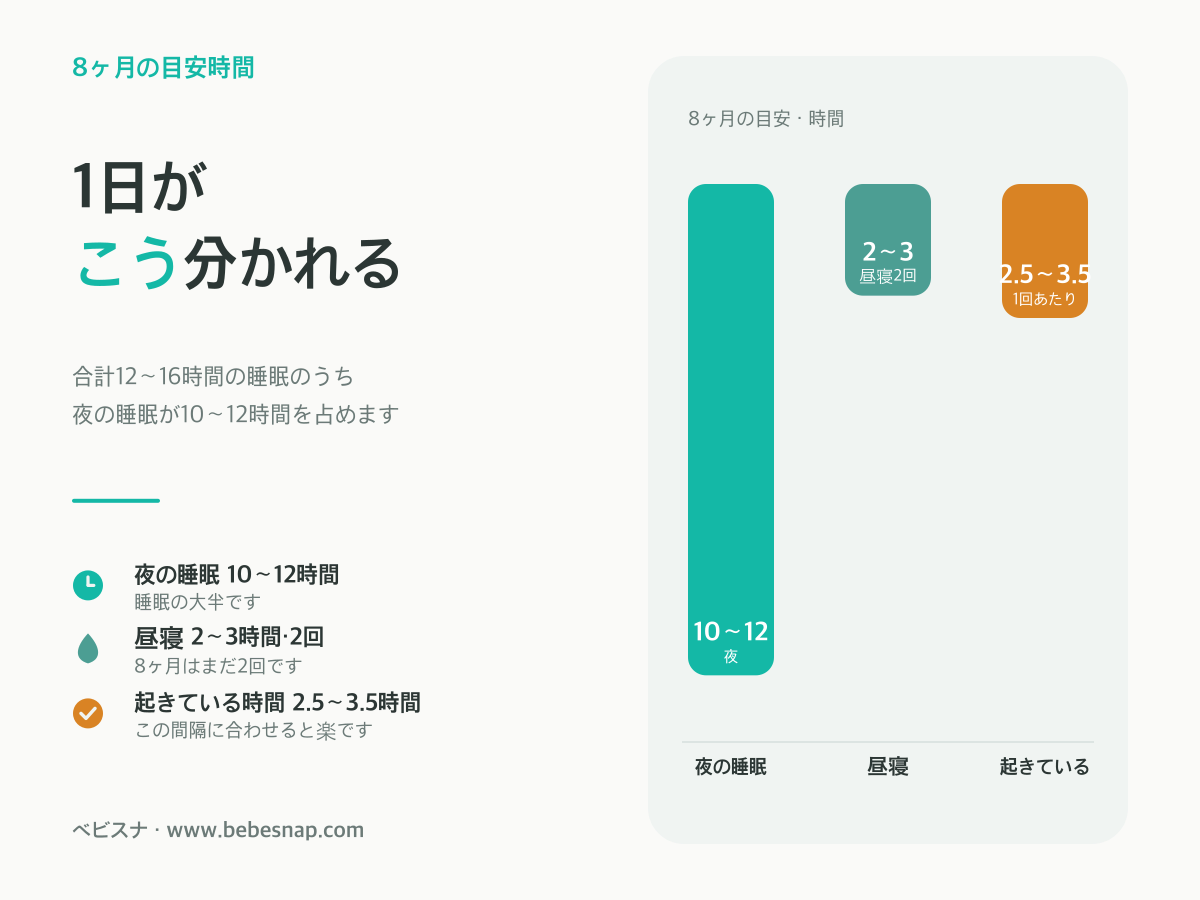 生後8ヶ月の目安時間 - 夜の睡眠10〜12時間、昼寝2〜3時間を2回、起きている時間2.5〜3.5時間の比較図