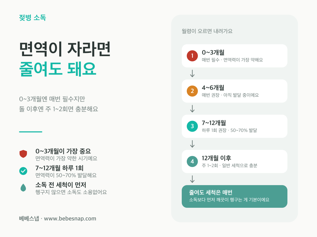 월령별 젖병 소독 빈도 - 0~3개월 매번 필수에서 12개월 이후 주 1~2회까지 줄어드는 네 단계 계단도
