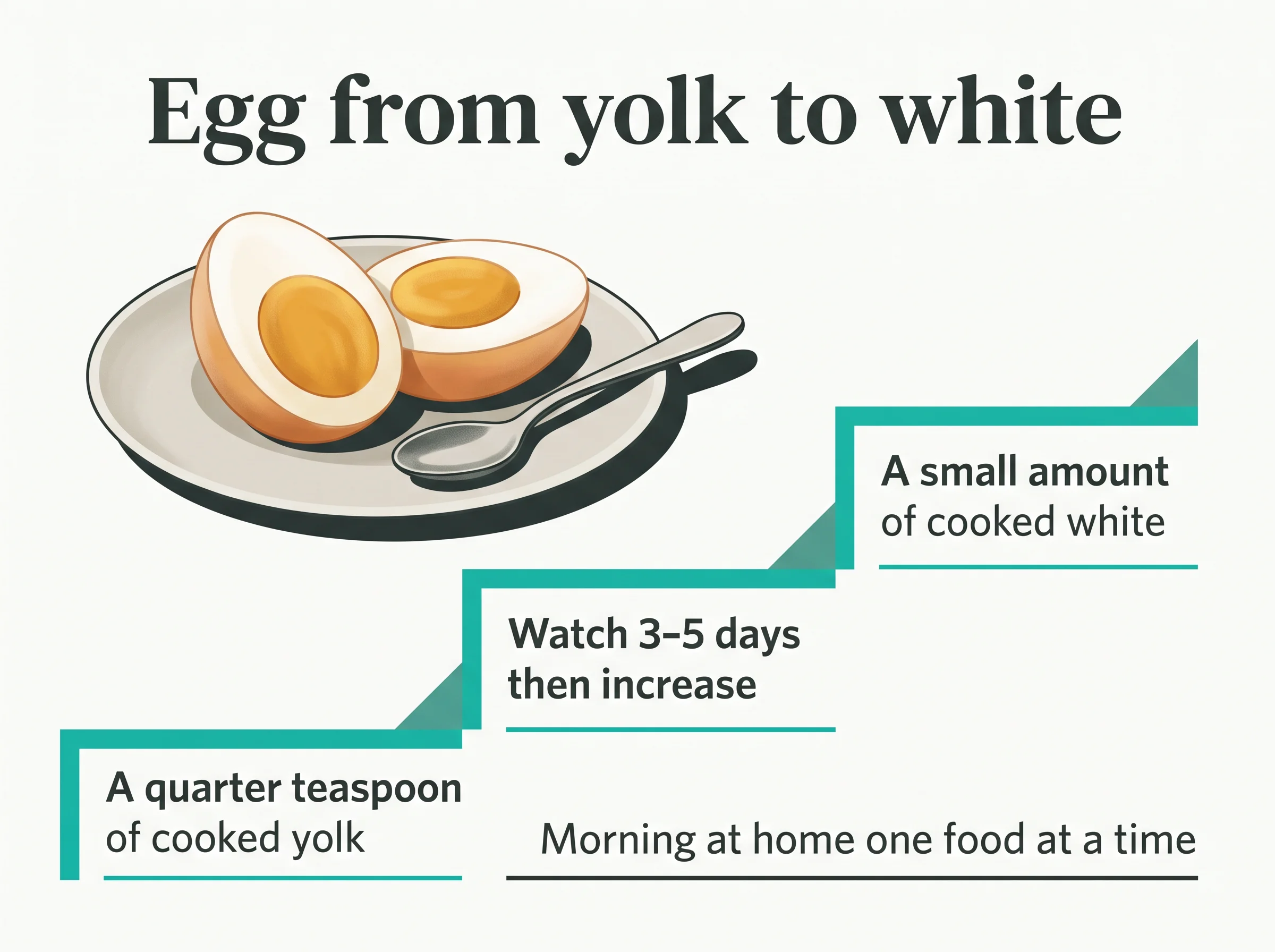 Introducing egg in three steps - start with a quarter teaspoon of cooked yolk, watch 3-5 days then increase, then a small amount of cooked white, always in the morning at home and one food at a time
