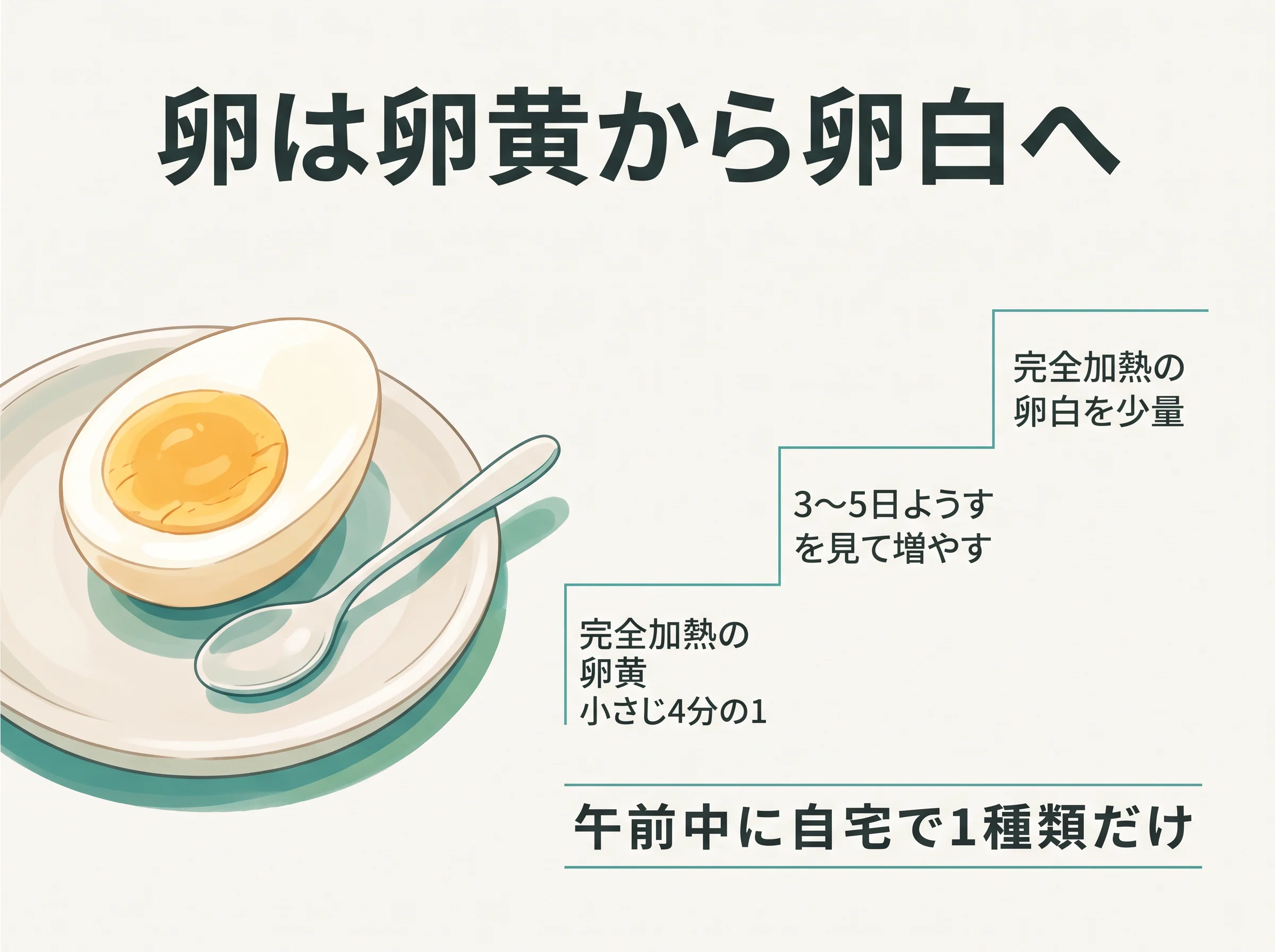 卵の進め方3ステップ - 完全加熱の卵黄を小さじ4分の1から始め、3〜5日ようすを見て増やし、完全加熱の卵白を少量から、午前中に自宅で1種類だけ
