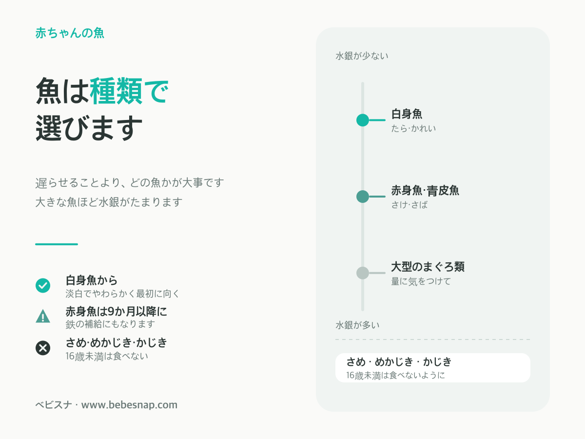赤ちゃんに避けたい魚 - 水銀の少ない白身魚から多いさめ・めかじきまでの比較図