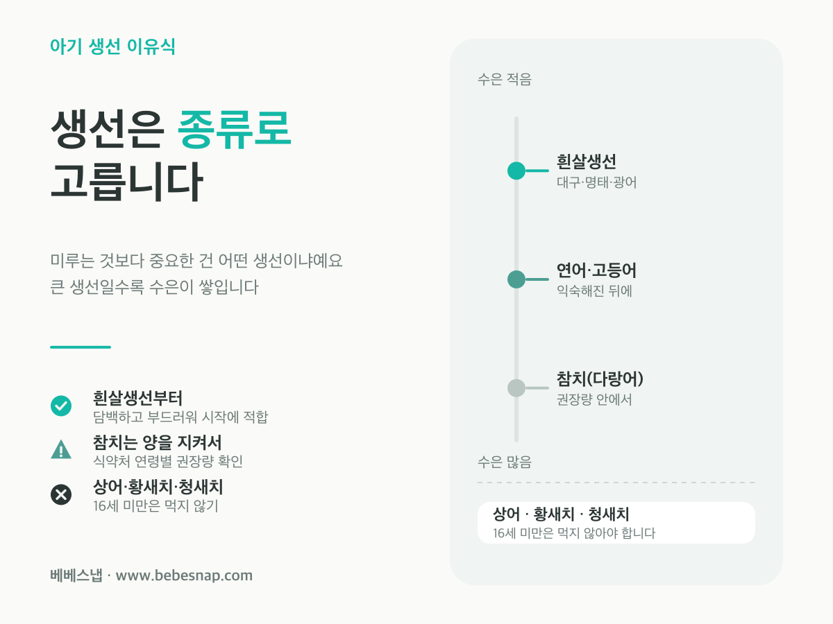 아기에게 피해야 할 생선 - 수은이 적은 흰살생선부터 많은 상어·황새치·청새치까지 비교 도식