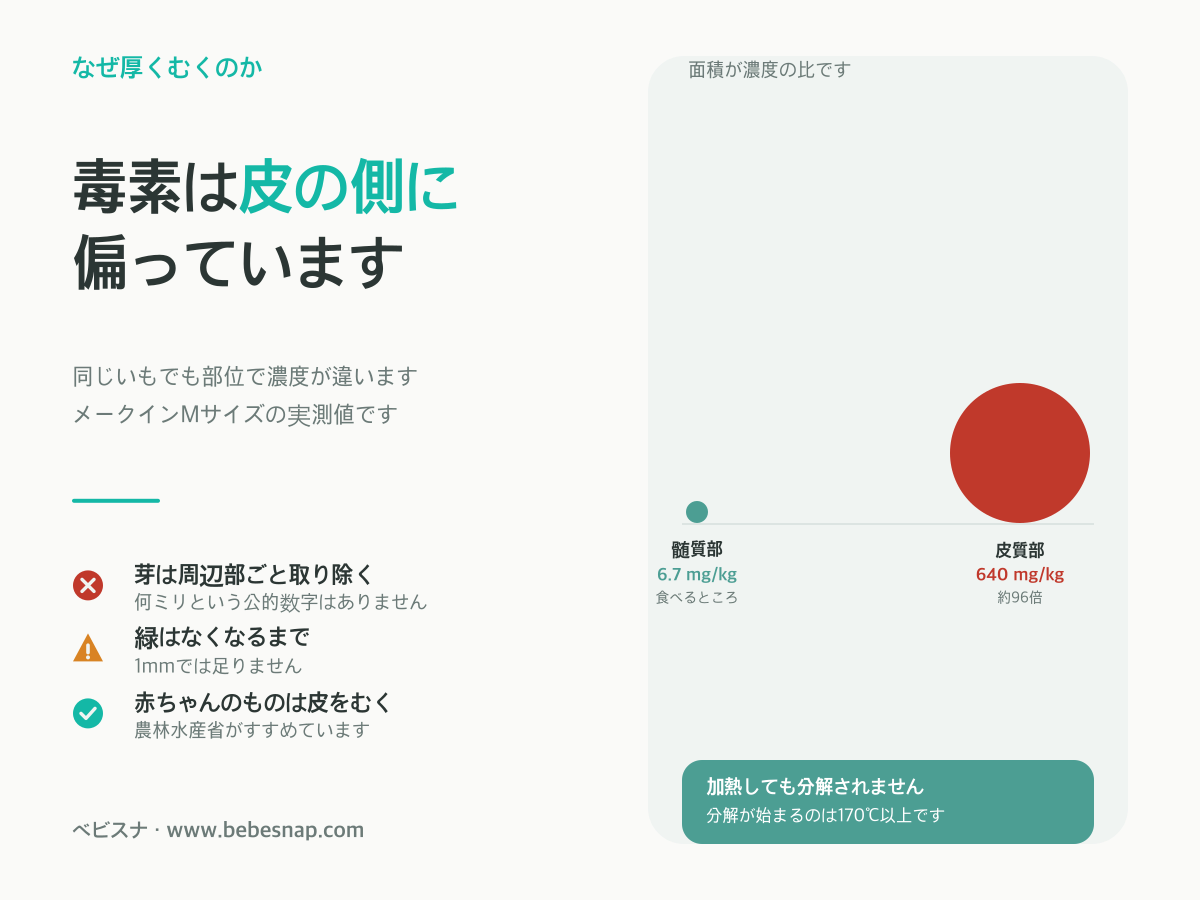 じゃがいもの毒素の偏り - 皮質部640に対し髄質部6.7で約96倍、芽は周辺部ごと取り除き緑はなくなるまで厚くむくという手当ての基準