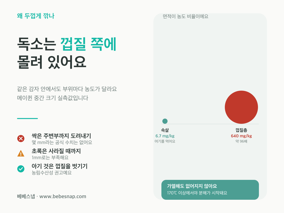 감자 솔라닌 분포 단면도 - 껍질층 640과 속살 6.7의 96배 차이, 싹은 주변부까지 도려내고 초록은 사라질 때까지 깎으라는 손질 기준