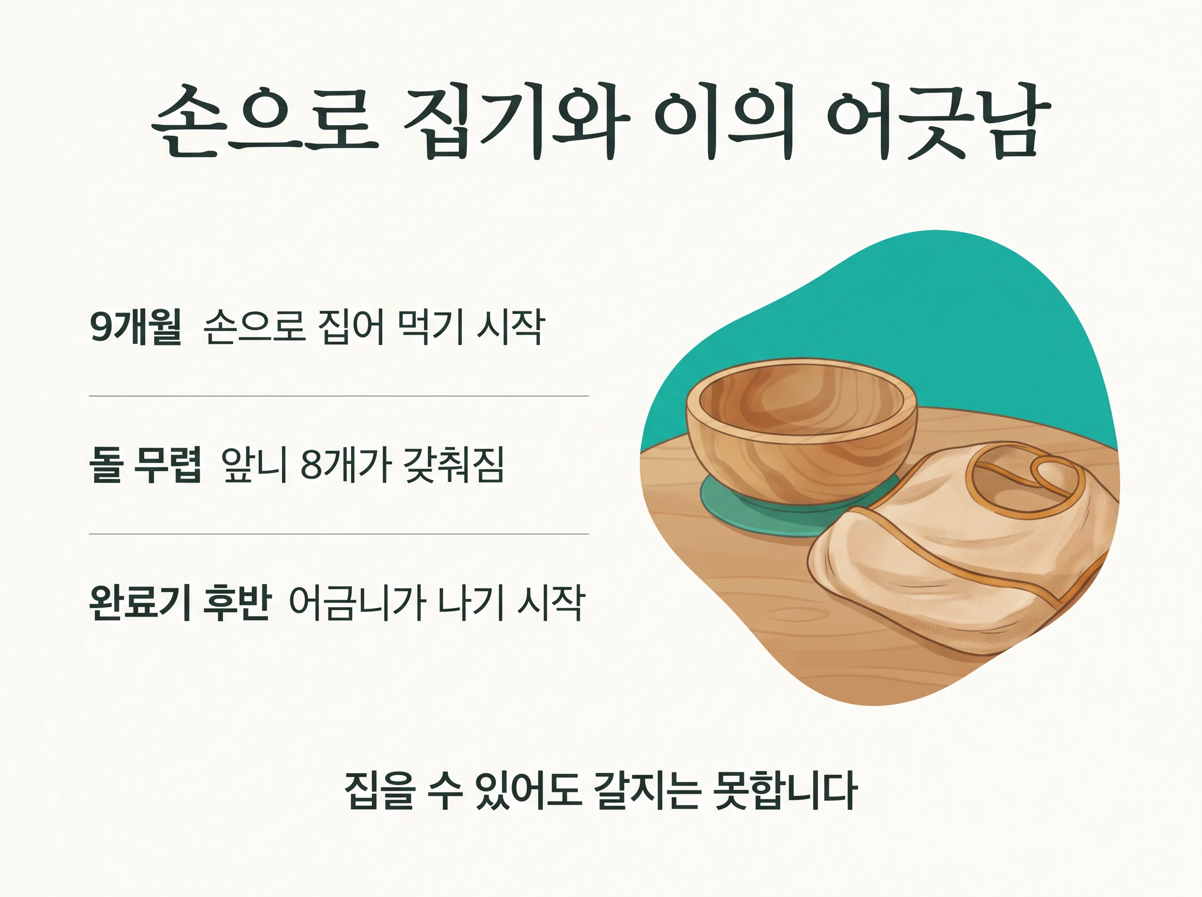 손으로 집기와 이의 어긋남 - 9개월에 손으로 집어 먹기가 시작되고 돌 무렵 앞니 8개가 갖춰지지만 어금니는 완료기 후반에야 나기 시작한다