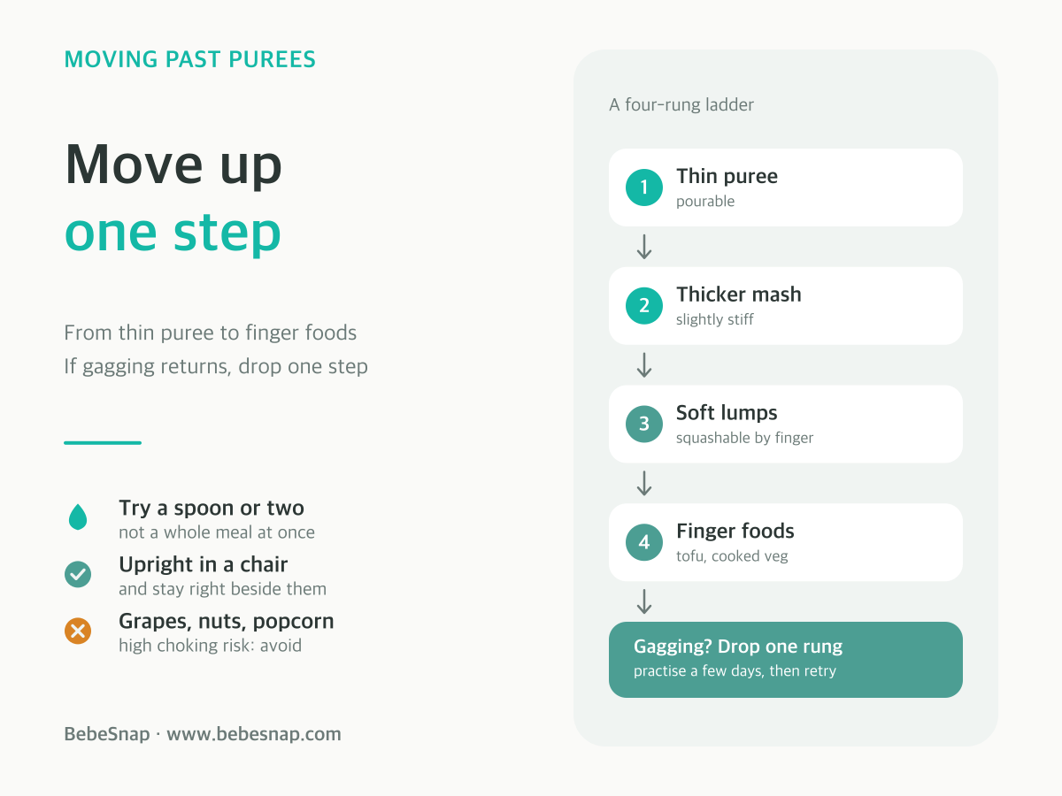 Baby food texture ladder - four rungs from thin puree to finger foods, moving up one step at a time