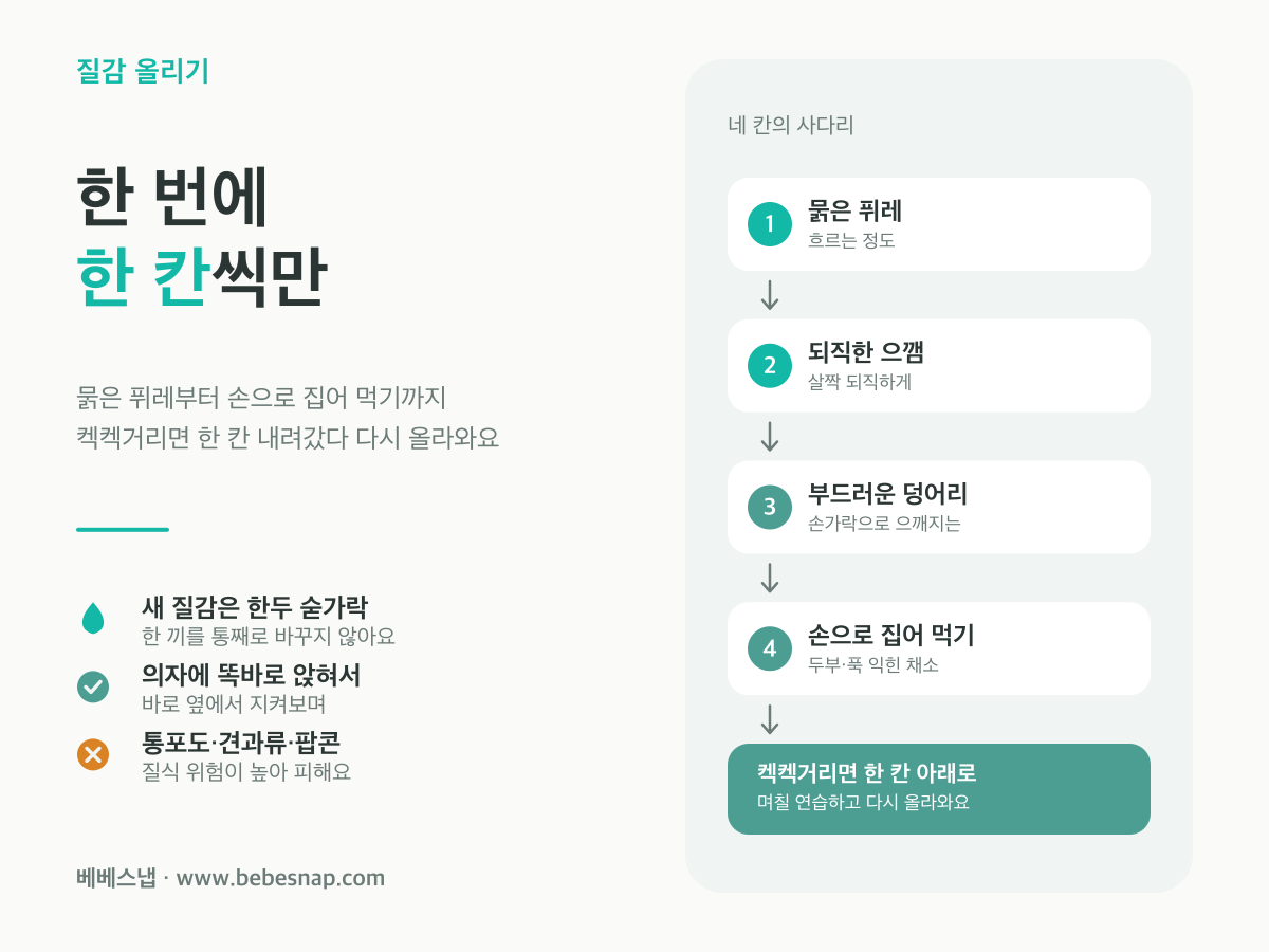 이유식 질감 올리는 4단계 - 묽은 퓌레에서 손으로 집어 먹기까지 한 칸씩 올리는 사다리도