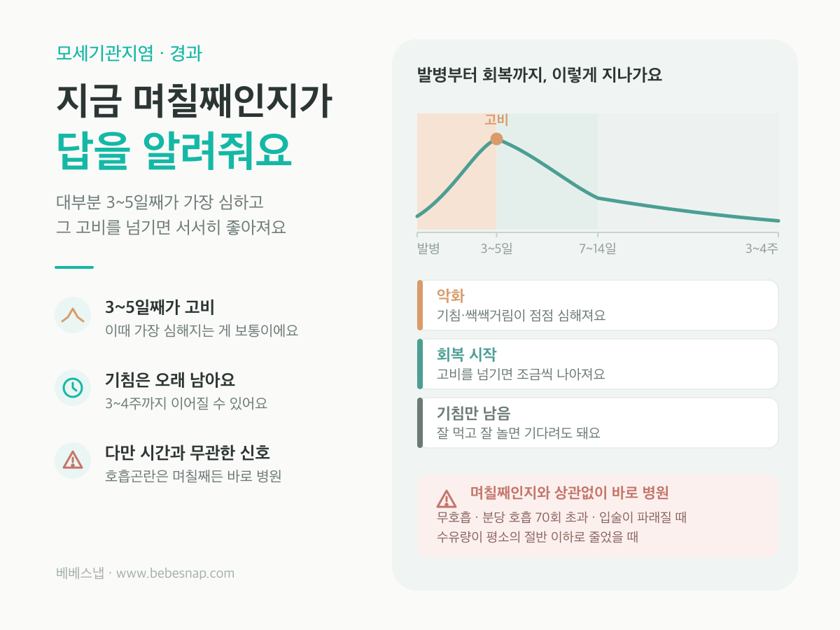 모세기관지염 경과 그래프 - 3~5일째 고비, 7~14일 회복, 기침은 3~4주까지
