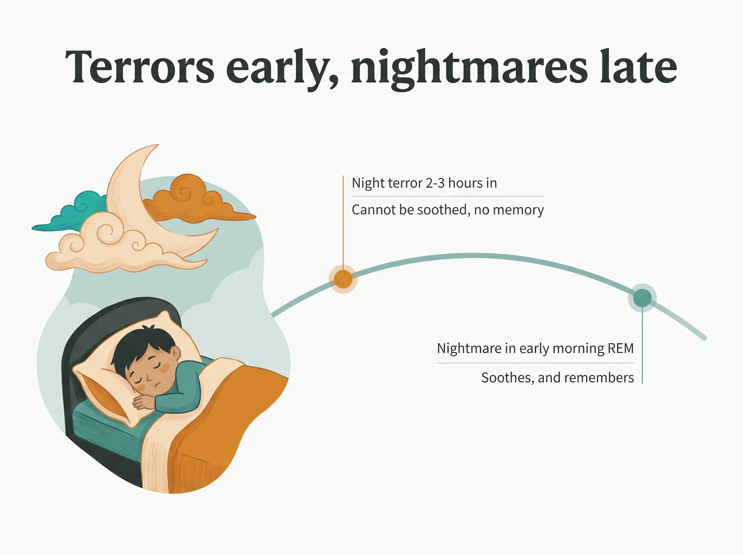 Night terrors versus nightmares - terrors come 2-3 hours after falling asleep, nightmares near dawn, placed on one night