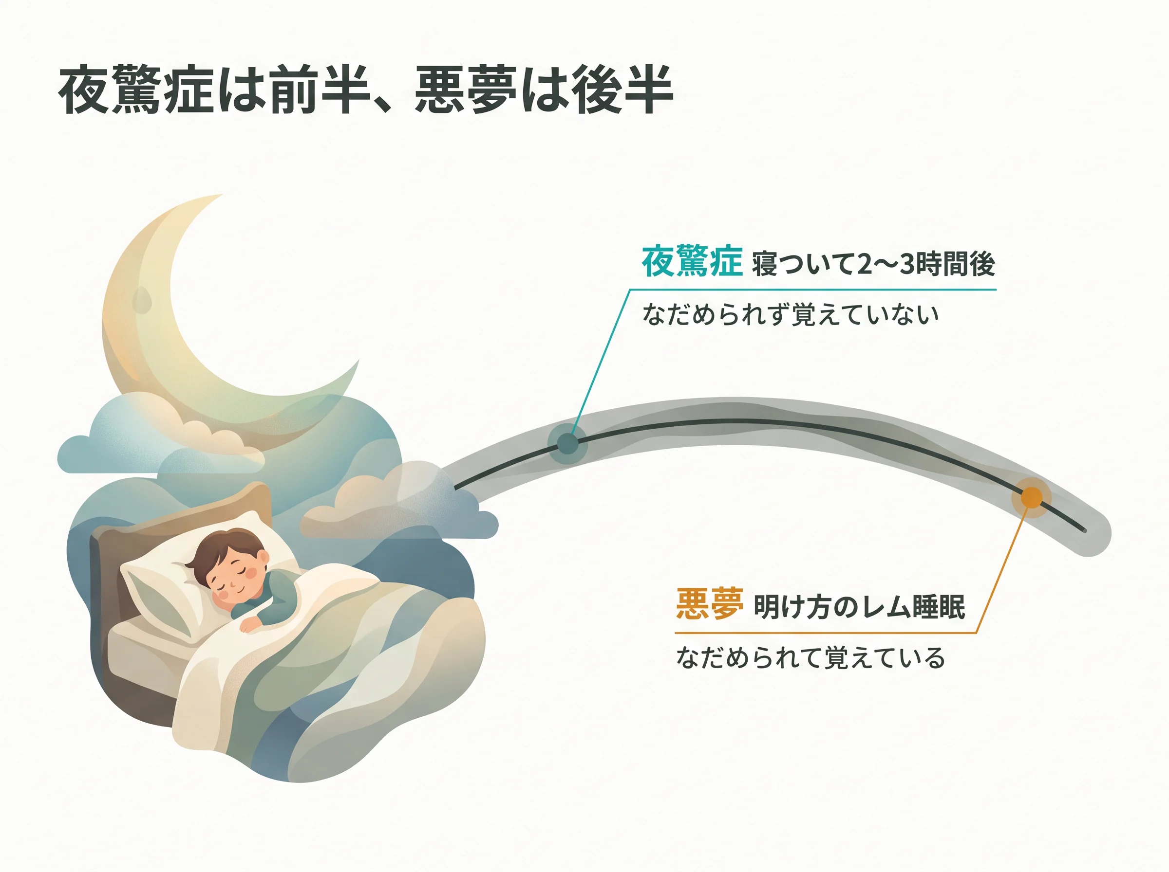 夜驚症と悪夢の見分け方 - 夜驚症は寝ついて2〜3時間後の前半、悪夢は明け方の後半に起こるひと晩の時間帯比較図