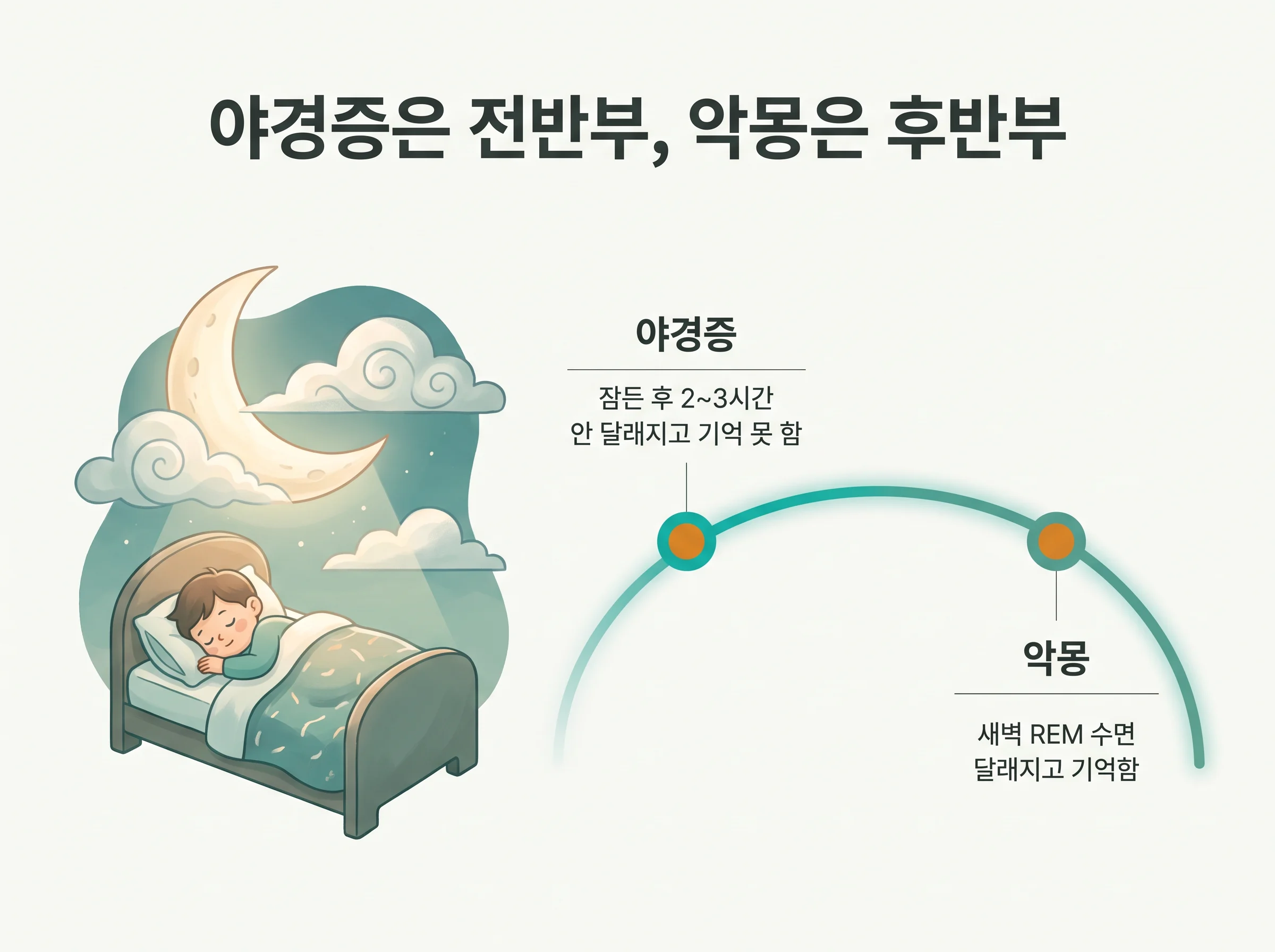 야경증과 악몽 구분 - 야경증은 잠든 후 2~3시간 전반부, 악몽은 새벽 후반부에 일어나는 하룻밤 시간대 비교도