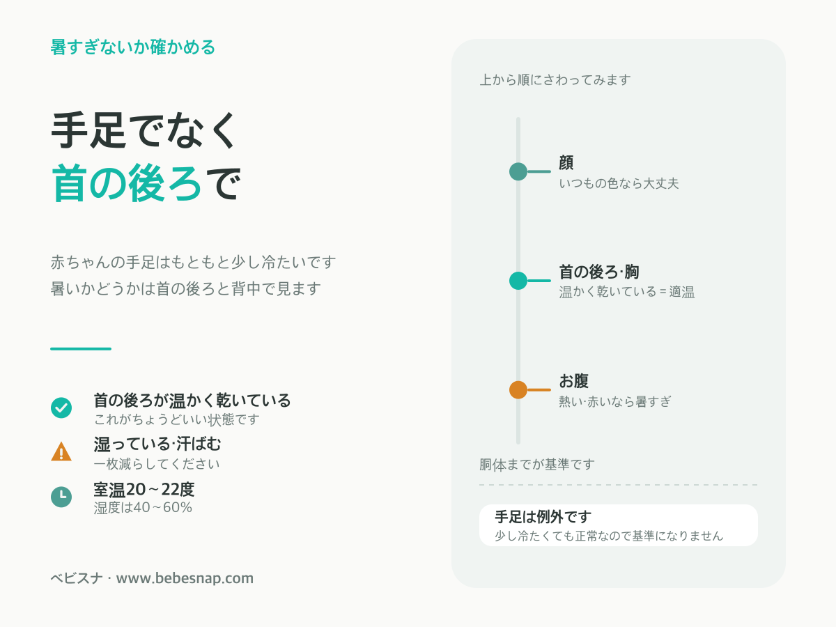 赤ちゃんが暑すぎないか確かめる場所 - 顔と首の後ろ・胸・お腹が基準で、手足は冷たくても正常という位置案内図