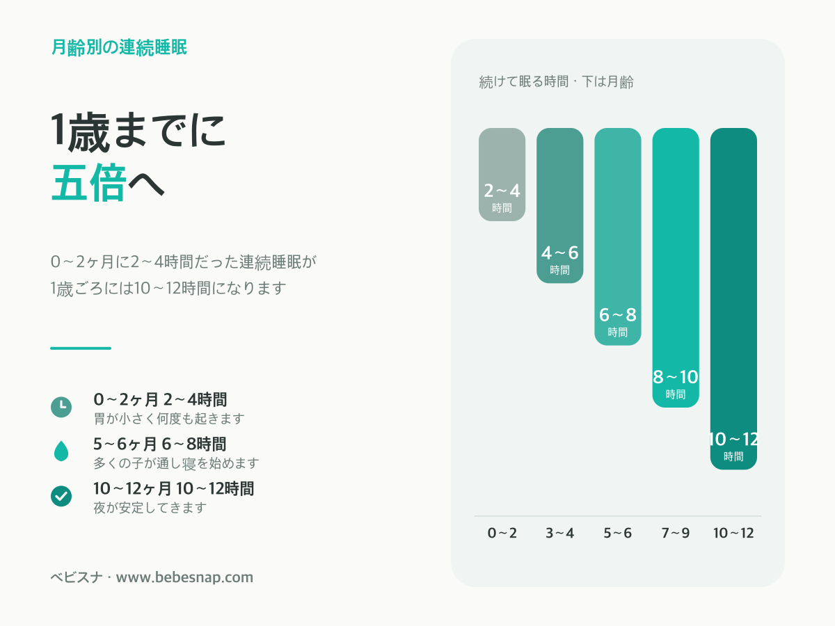 赤ちゃんの月齢別連続睡眠時間 - 0〜2ヶ月の2〜4時間から10〜12ヶ月の10〜12時間まで五倍に伸びる棒比較図