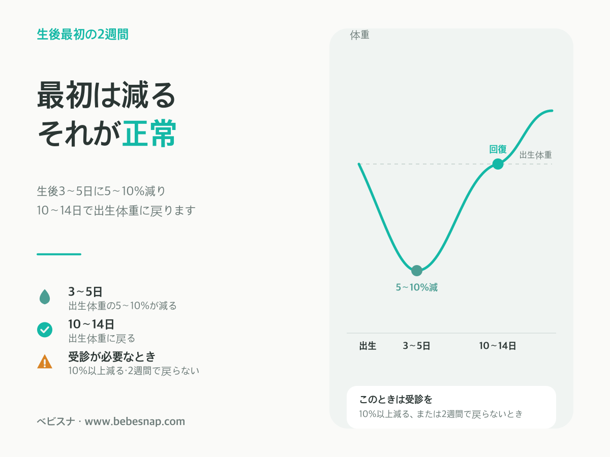 新生児の生理的体重減少 - 出生後に体重がいったん減り生後2週間で出生体重に戻る曲線