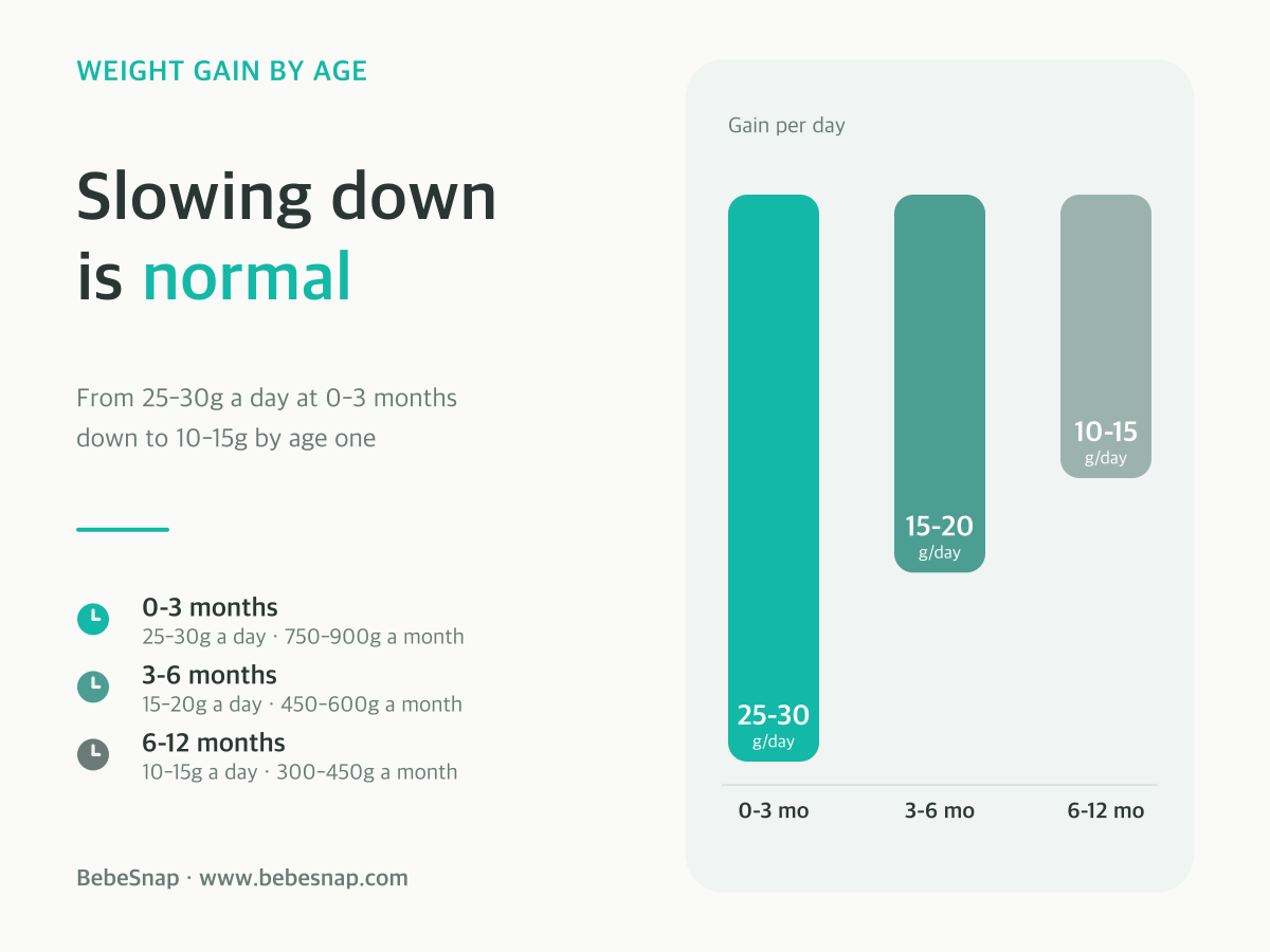 Baby weight gain rate - graph showing the slowdown from 25-30g a day at 0-3 months to 10-15g a day at 6-12 months