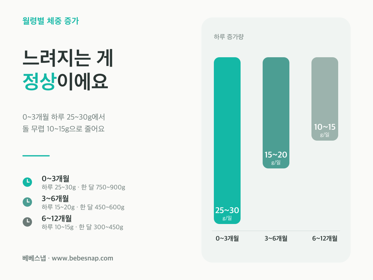 아기 체중 증가 속도 - 0~3개월 하루 25~30g에서 6~12개월 10~15g까지 절반으로 느려지는 감속 그래프