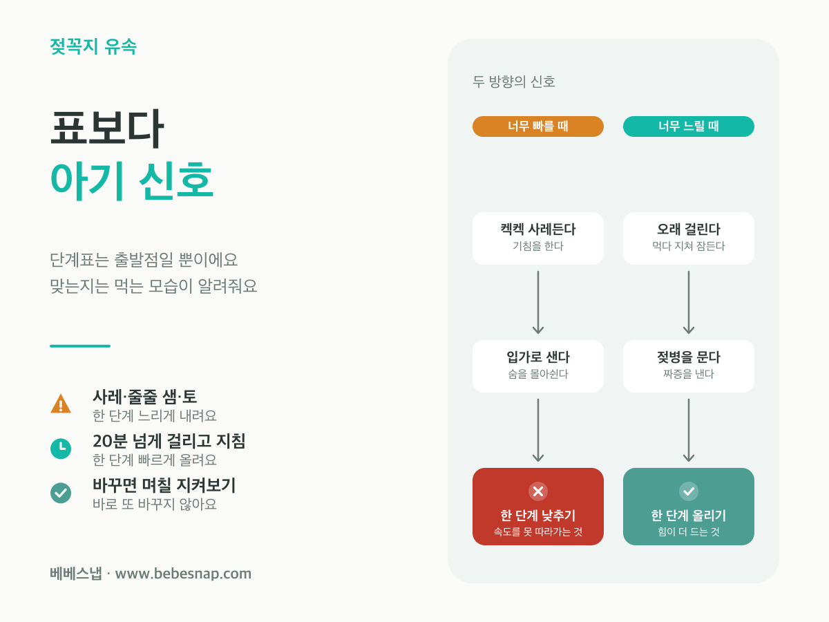 젖병 젖꼭지 유속 신호 - 사레와 샘은 너무 빠름, 오래 걸리고 지치면 너무 느림인 두 방향 비교도