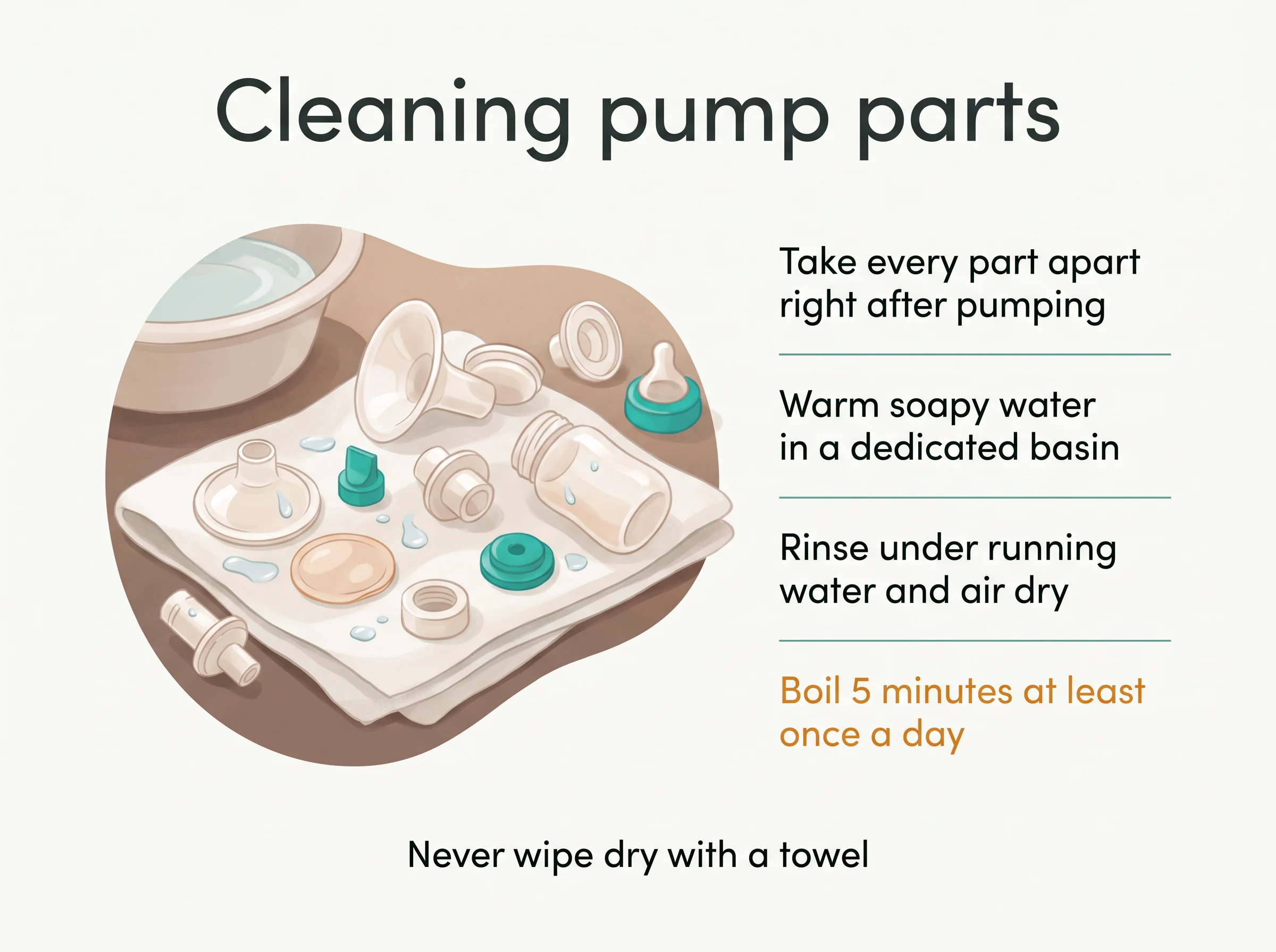 Cleaning pump parts - take every part apart right after pumping, wash in warm soapy water in a dedicated basin, rinse under running water and air dry, boil 5 minutes at least once a day, and never wipe dry with a towel