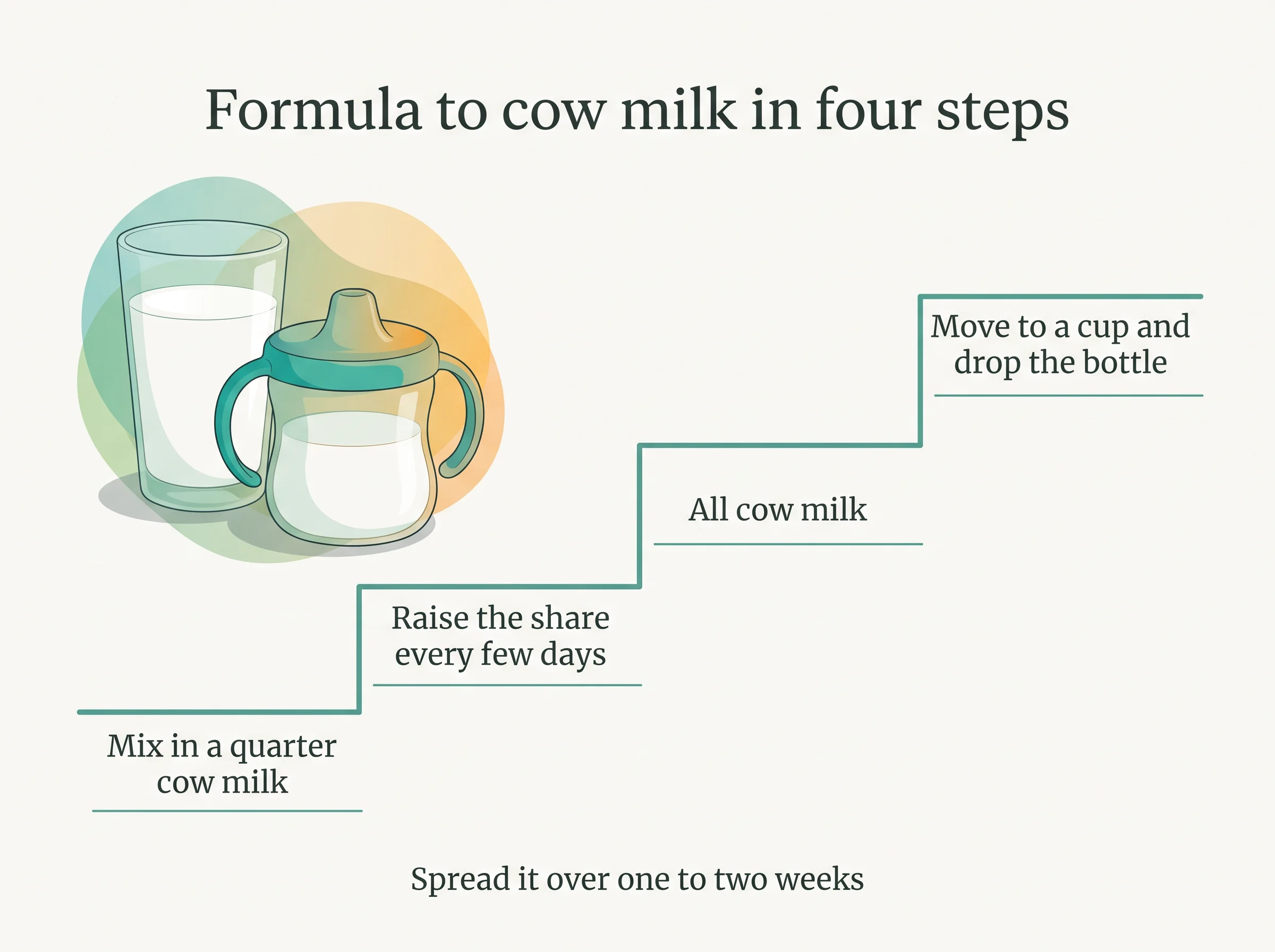 Formula to cow milk in four steps - mix in a quarter cow milk, raise the share every few days, move to all cow milk, switch to a cup and drop the bottle, spread over one to two weeks