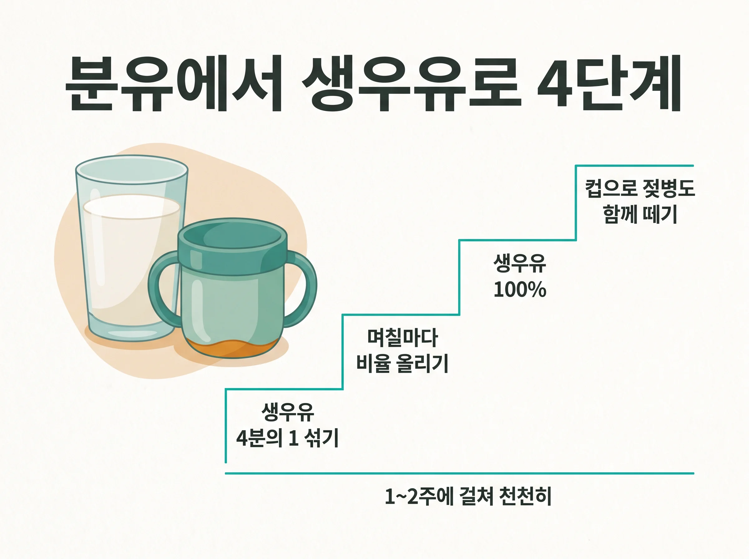 분유에서 생우유로 4단계 - 생우유 4분의 1 섞기, 며칠마다 비율 올리기, 생우유 100%, 컵으로 젖병도 함께 떼기, 1~2주에 걸쳐 천천히