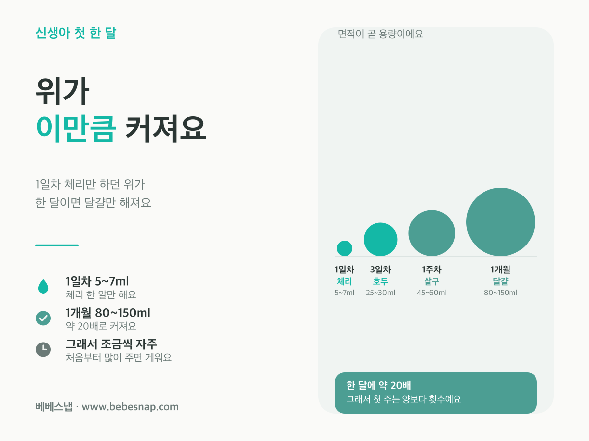 신생아 위 크기 변화 - 1일차 체리 5~7ml에서 1개월 달걀 80~150ml까지 약 20배 커지는 비례 비교도