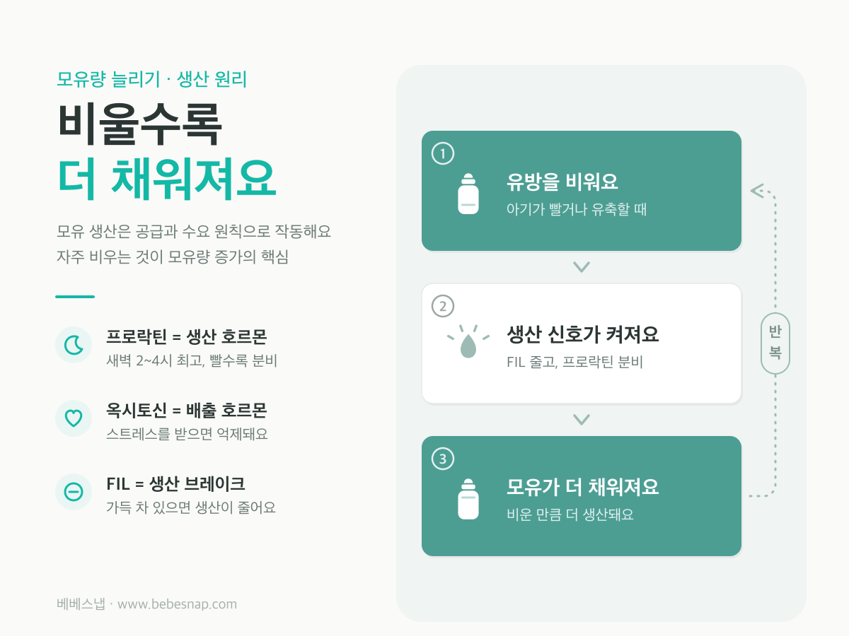 모유량 늘리는 원리 - 비울수록 더 채워지는 공급과 수요 순환 도식