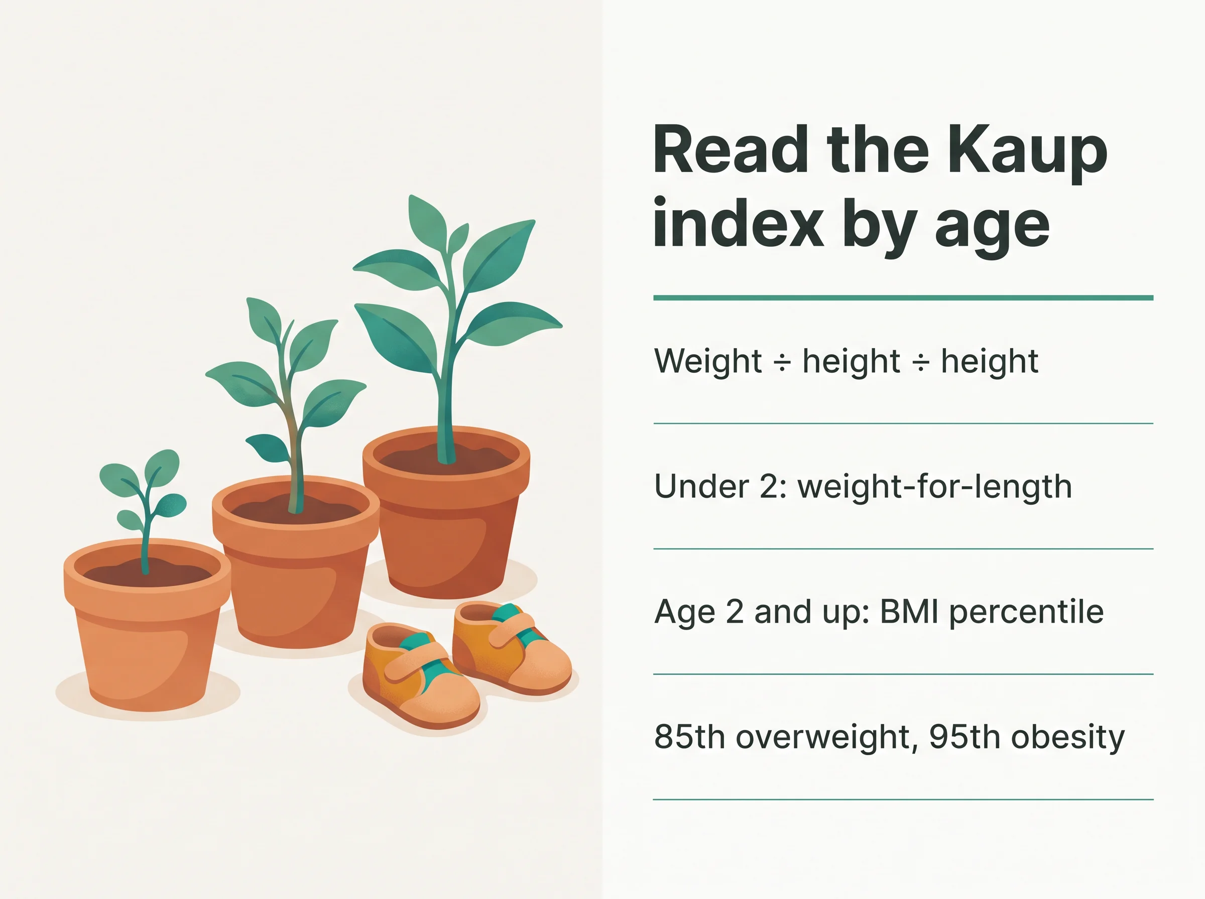 How to read the Kaup index by age - calculate weight divided by height squared, use weight-for-length under age 2, and from age 2 use the BMI percentile with the 85th percentile for overweight and the 95th for obesity